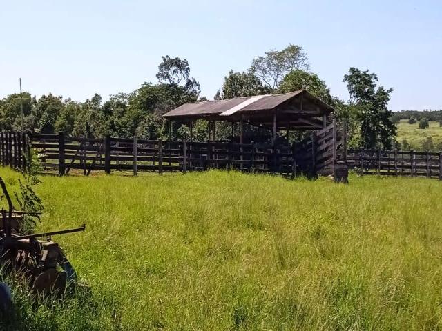 #14 - Chácara para Venda em Cuiabá - MT - 1