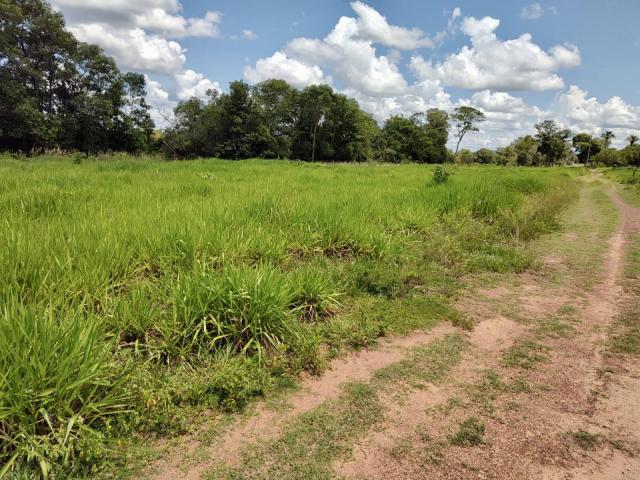 #18 - Sítio para Venda em Cuiabá - MT - 1